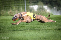CWA Northstar Sept 13, 2025
