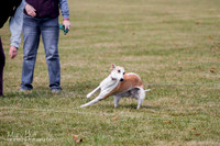 IMG_0323
