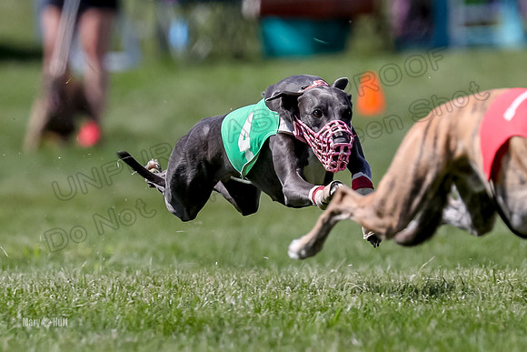 Program 3 Race 9 Meat Loaf Alex Sneakers Halford Riley-3843