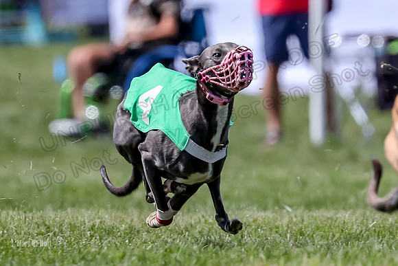 Program 3 Race 9 Meat Loaf Alex Sneakers Halford Riley-3845