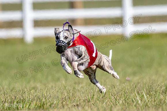 5C7A5340