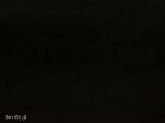5C7A6726