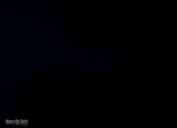5C7A6805