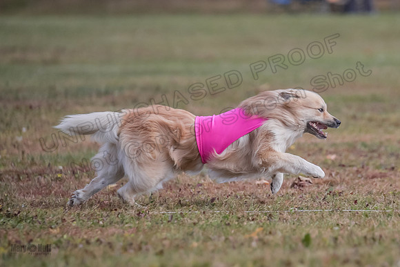 AE4I7269