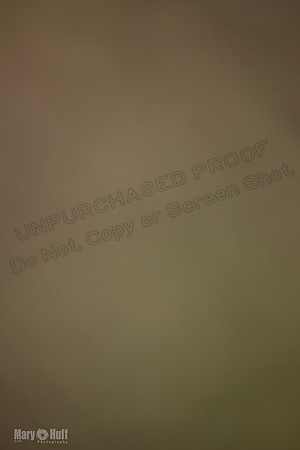 5C7A6323