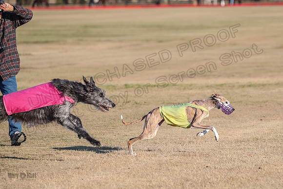1prelims Ramisi Ember-9481