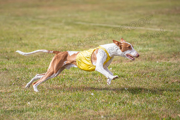 Finals Open 1 Jagger Maverick-3014