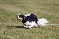 IMG_9105