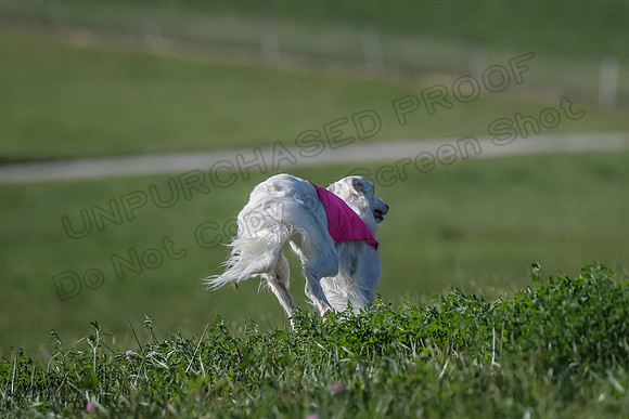 1 Prelims Fch 2 Chyna Joker Lizzie-5728