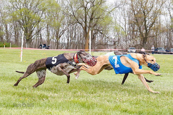 WRA, Prg 4, Race 4, Victor Picanha Stormy Terra Smudge-9336