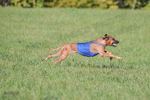 1 Prelims Open 1 Kinky Ash Zanna-4452