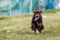 MCH76701