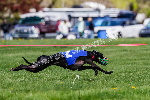 NOTRA Program 2, Race 8, Stoke Nami Nika Eddie-2-19