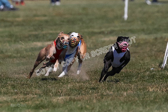 Prg 3, Race 6, Micky Sansa Power Arrow-2056