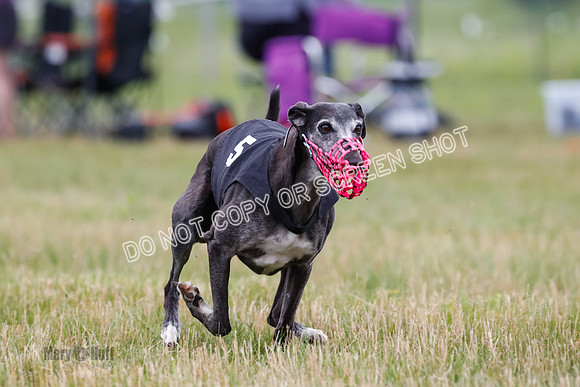 Prg 3, Race 2, Chuck-Tusi-Smokey-Raz-Angel-Nathalia-1063