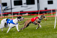 NOTRA Program 3, Race 1, Watson Scooter Barley Warrior-2-7