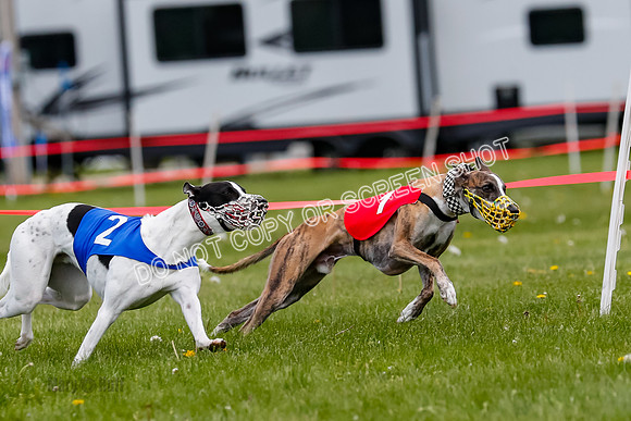 NOTRA Program 3, Race 1, Watson Scooter Barley Warrior-2-7