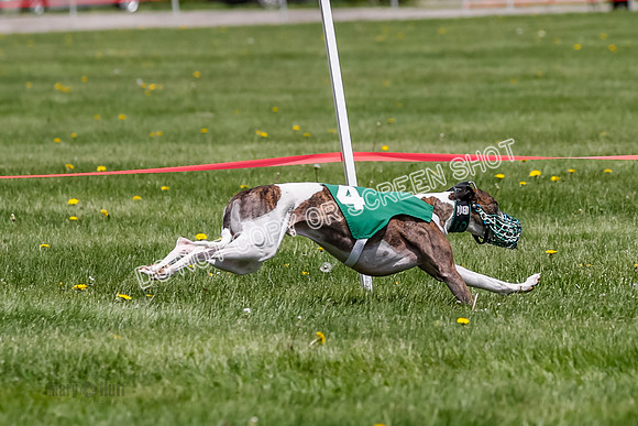 NOTRA Program 3, Race 4, Maybe Power Flora Clyps-2-11