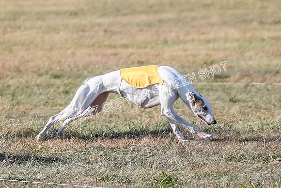AE4I0410, Alice-Madyson-Remmy