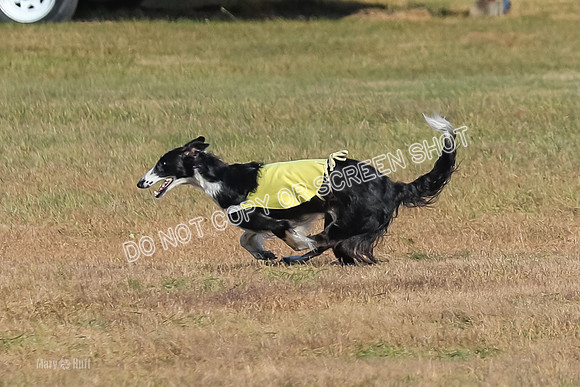 AE4I0518, Tallulah-Summertime-Axion