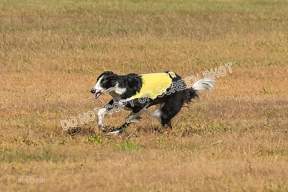 AE4I0524, Tallulah-Summertime-Axion