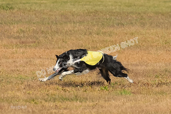 AE4I0525, Tallulah-Summertime-Axion