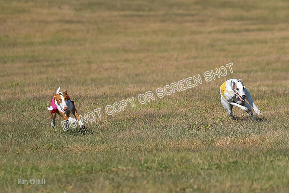 AE4I0447, Alice-Madyson-Remmy