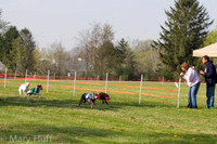 IMG_2904