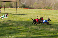 IMG_2910