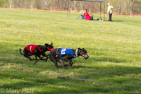 IMG_2911
