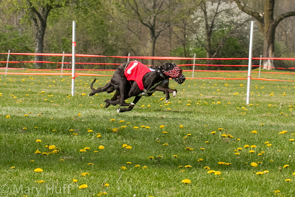IMG_2932-2