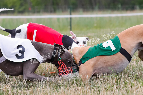 Prg 3, Race 2, Chuck-Tusi-Smokey-Raz-Angel-Nathalia-1082
