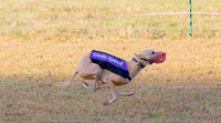 Memorial Run FREE TO DOWNLOAD