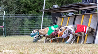 Program 2, Race 2 Trillian Dancie Stripe Checkmate Sherlock Lanie-3400