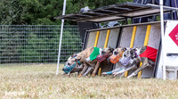 Program 2, Race 2 Trillian Dancie Stripe Checkmate Sherlock Lanie-3399