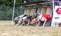 Sunday Racing & Conformation