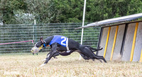 Program 2, Race 1 Yummy Marlo-3382