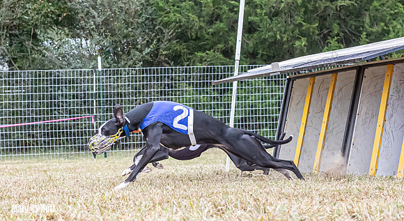 Program 2, Race 1 Yummy Marlo-3382