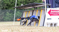 Program 2, Race 1 Yummy Marlo-3378
