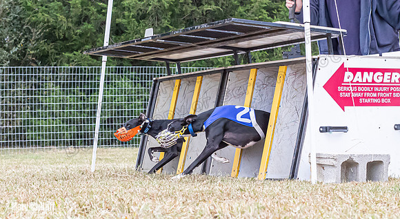 Program 2, Race 1 Yummy Marlo-3378