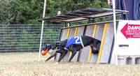Program 2, Race 1 Yummy Marlo-3379