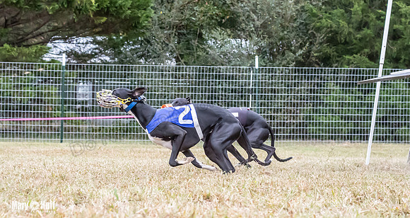 Program 2, Race 1 Yummy Marlo-3384