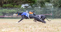 Program 2, Race 1 Yummy Marlo-3385