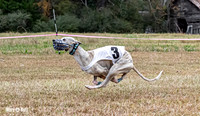 Program 3, Race 2 Trillian Checkmate Kalie Player Stripe Elsa-3612