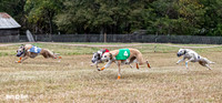 Program 3, Race 2 Trillian Checkmate Kalie Player Stripe Elsa-3606