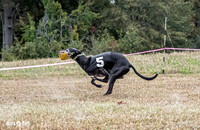 Program 3, Race 3 Sid Bacon Nitro Pearl Bandit Teak-3642