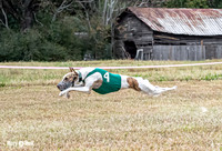 Program 3, Race 3 Sid Bacon Nitro Pearl Bandit Teak-3634-2