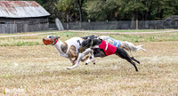Program 3, Race 3 Sid Bacon Nitro Pearl Bandit Teak-3634