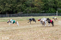 Program 3, Race 3 Sid Bacon Nitro Pearl Bandit Teak-3630