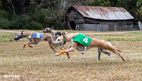 Program 3, Race 2 Trillian Checkmate Kalie Player Stripe Elsa-3609